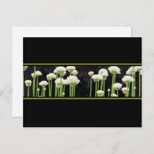 Floral Green Black en White Briefkaart (Voorkant / Achterkant)