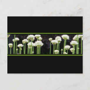Floral Green Black en White Briefkaart