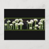 Floral Green Black en White Briefkaart (Voorkant)