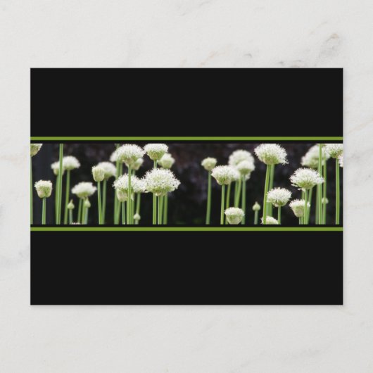 Floral Green Black en White Briefkaart (Voorkant)