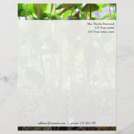 Floral Green Seedlings Foto Aangepast adres Briefhoofd