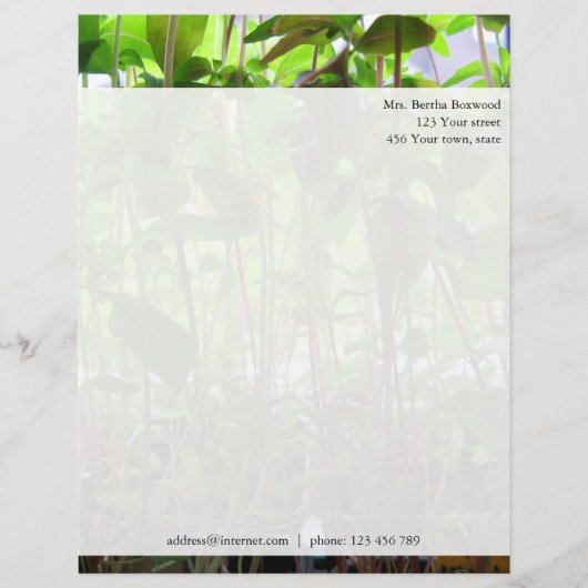 Floral Green Seedlings Foto Aangepast adres Briefhoofd (Voorkant)