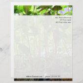 Floral Green Seedlings Foto Aangepast adres Briefhoofd (Voorkant / Achterkant)