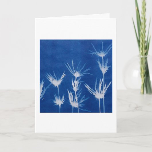 Floral Greeting Card Blank Inside  Kaart (Voorkant)