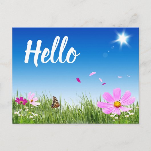 Floral Hallo Daisy Butterfly Wildbloemen Vrienden Briefkaart (Voorkant)