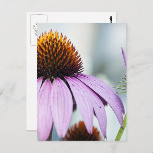 Floral Harmony Briefkaart (Voorkant / Achterkant)