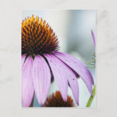 Floral Harmony Briefkaart (Voorkant)