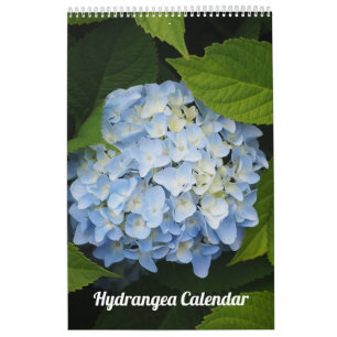 Floral Hydrangea  Foto Kalender