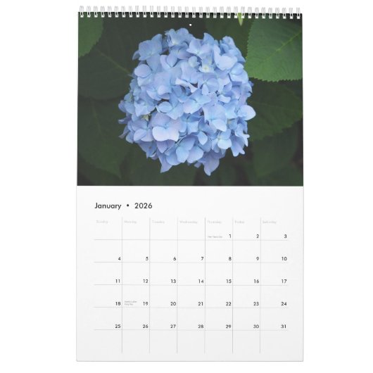 Floral Hydrangea  Foto Kalender (Jan 2026)