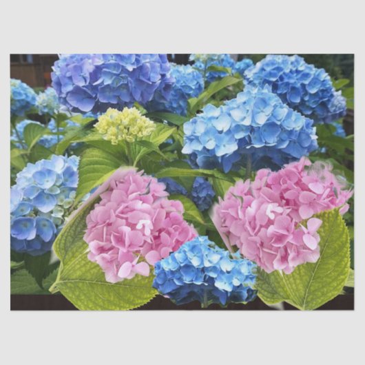 Floral Hydrangea Roze Blauw Ontstekingsvaartuig Tissuepapier (Voorkant)