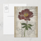 Floral I Briefkaart (Voorkant / Achterkant)