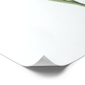 Floral Illustration Botanical Art Print (Hoek)