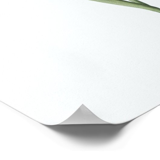  Floral Illustration Botanical Art Print (Hoek)