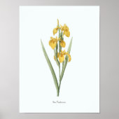  Floral Illustration Botanical Art Print (Voorkant)