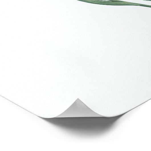  Floral Illustration Botanical Art Print (Hoek)