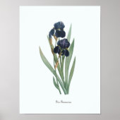  Floral Illustration Botanical Art Print (Voorkant)