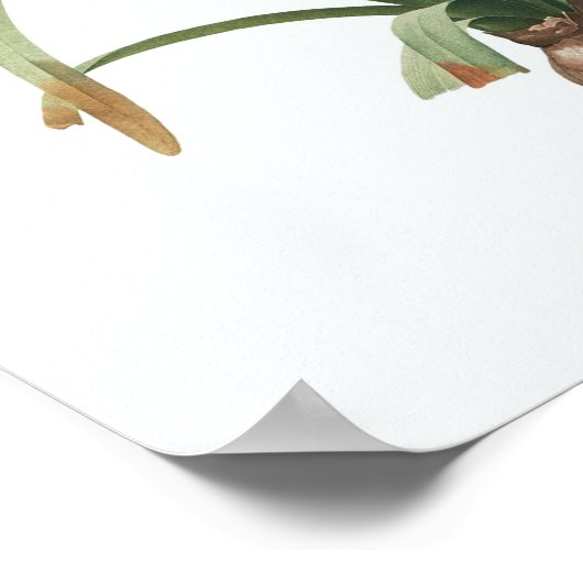  Floral Illustration Botanical Art Print (Hoek)