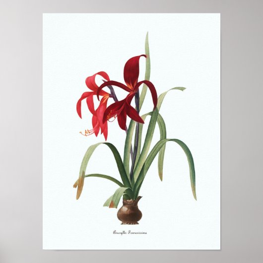  Floral Illustration Botanical Art Print (Voorkant)