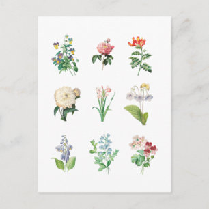 Floral Illustration minimalist Botanical Briefkaart