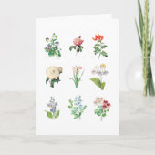  Floral Illustration minimalist Botanical Kaart (Voorkant)