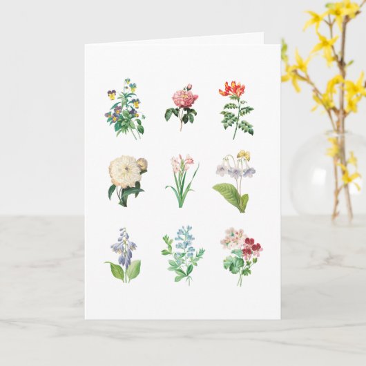  Floral Illustration minimalist Botanical Kaart (Gele Bloem)