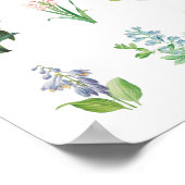  Floral Illustration minimalist Botanical Poster (Hoek)