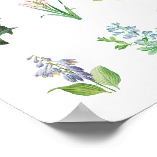  Floral Illustration minimalist Botanical Poster (Hoek)