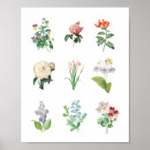  Floral Illustration minimalist Botanical Poster (Voorkant)