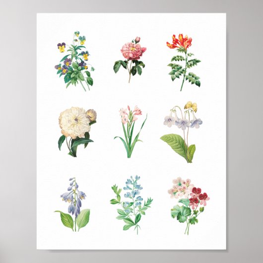 Floral Illustration minimalist Botanical Poster (Voorkant)