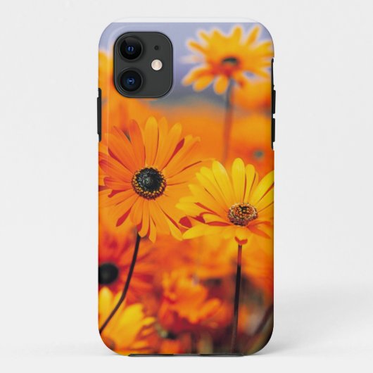 Floral Iphone 5 Universeel Hoesje (Achterkant)