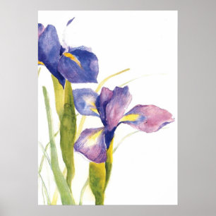 Floral Iris waterverf Poster