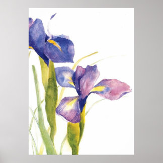 Floral Iris waterverf Poster