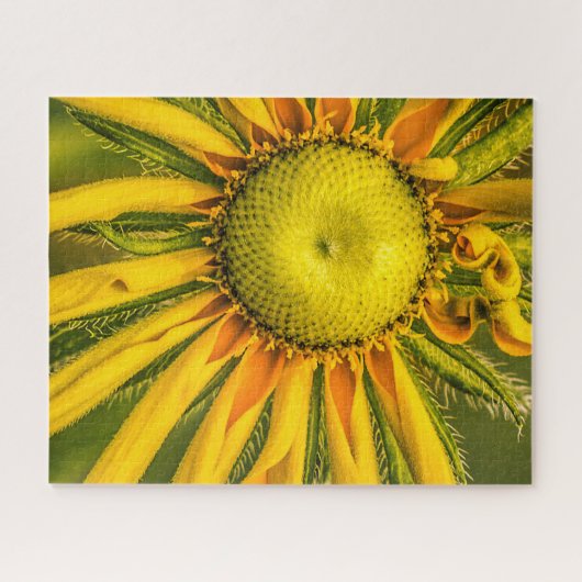 Floral Jigzaag Puzzle Legpuzzel (Horizontaal)