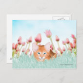 Floral Kitten Briefkaart (Voorkant / Achterkant)