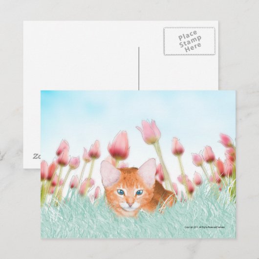 Floral Kitten Briefkaart (Voorkant / Achterkant)