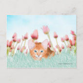 Floral Kitten Briefkaart (Voorkant)