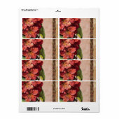 Floral Labels (Full Sheet)