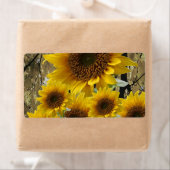 Floral Labels Zonnebloem (Insitu)