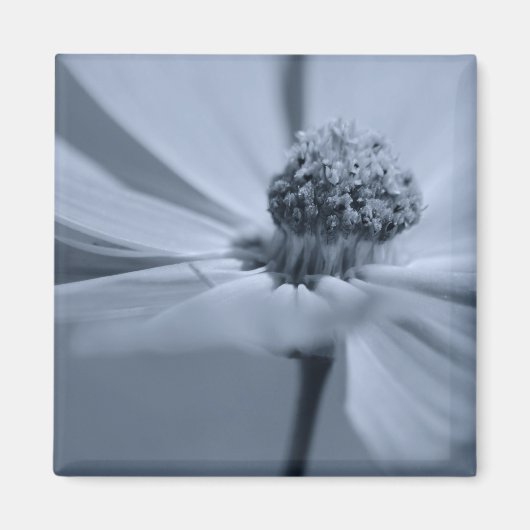 Floral Magnet (Voorkant)