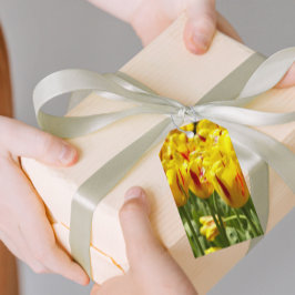 Floral met rode strepe gele tulpen cadeaulabel