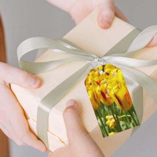 Floral met rode strepe gele tulpen cadeaulabel