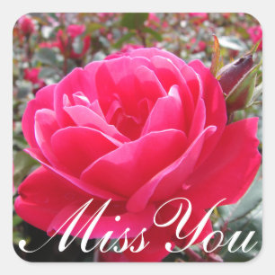 Floral Miss You Pink Rose Flower Vierkante Sticker