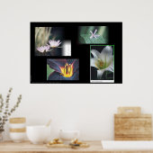 Floral Montage Poster (Keuken)
