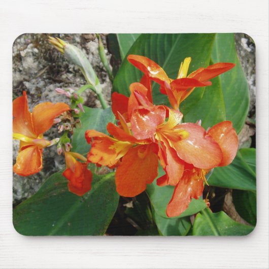 Floral Mousepad Muismat (Voorkant)