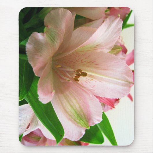 Floral Muismat (Voorkant)