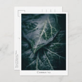 Floral Natuur Foto Briefkaart (Voorkant / Achterkant)