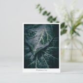 Floral Natuur Foto Briefkaart (Staand voorkant)