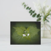 Floral Natuur Foto Briefkaart (Staand voorkant)