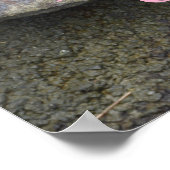 Floral neemt roetbloem fotografisch poster (Hoek)