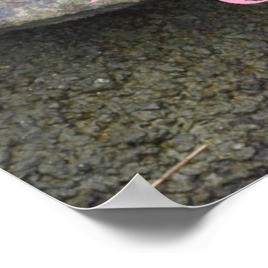 Floral neemt roetbloem fotografisch poster (Hoek)